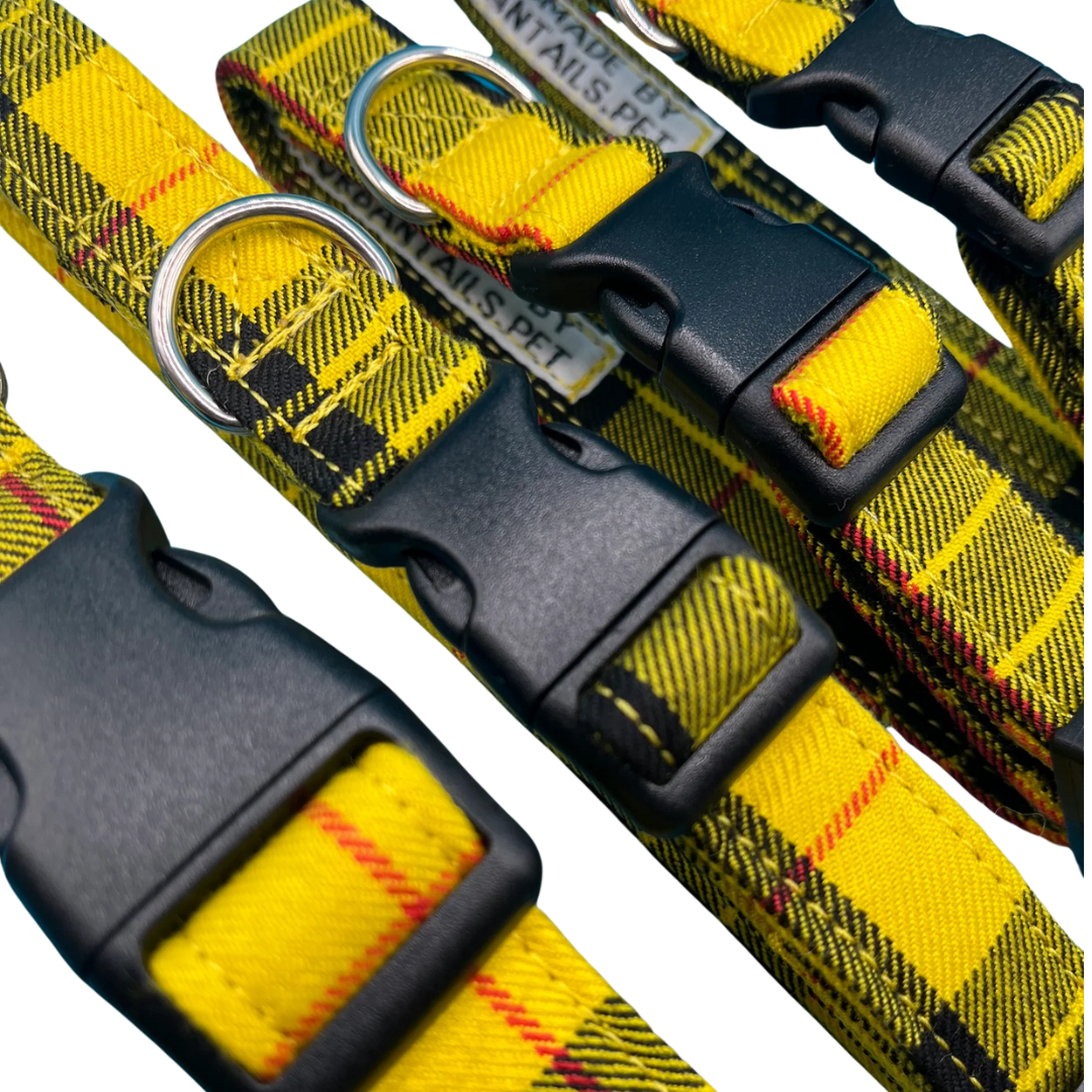 Clueless Tartan Collar
