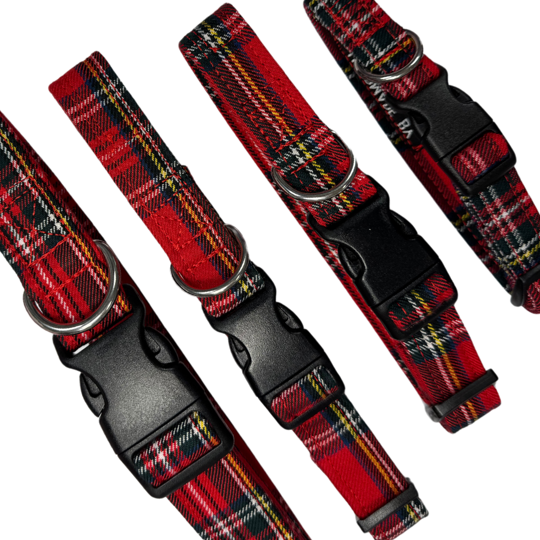 Heritage Tartan Collar