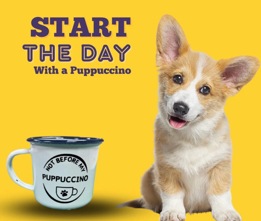 corgi puppy on a yellow background with a picture of an enamel espresso cup saying not before my puppuccino.