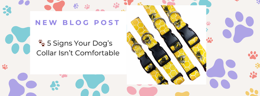 🐾 5 Signs Your Dog’s Collar Isn’t Comfortable (and How to Fix It)