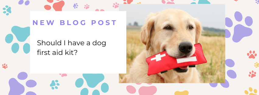 Should I have a Dog First Aid Kit?