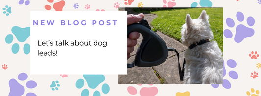Let's talk dog leads!