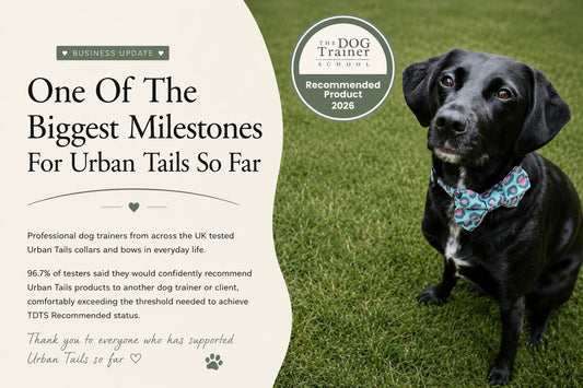 One Of The Biggest Milestones For Urban Tails So Far