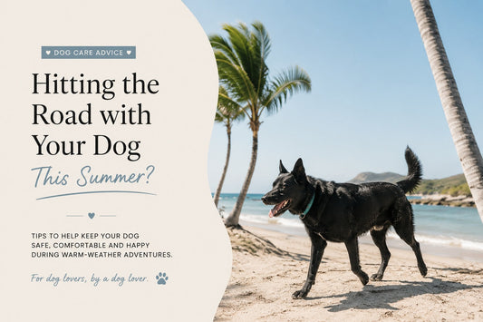 Hitting the Road with Your Dog This Summer? Here’s What You Need to Know