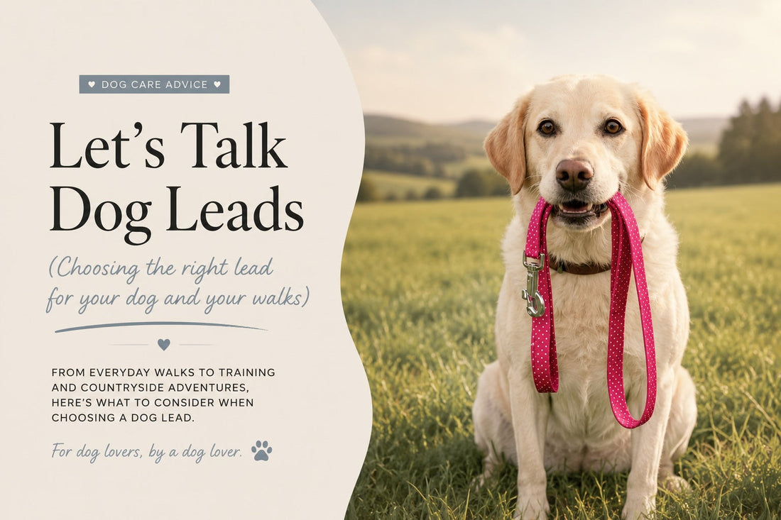 Let's talk dog leads!