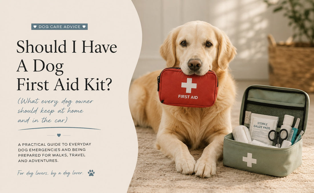 Should I have a Dog First Aid Kit?