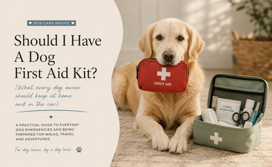 Should I have a Dog First Aid Kit?