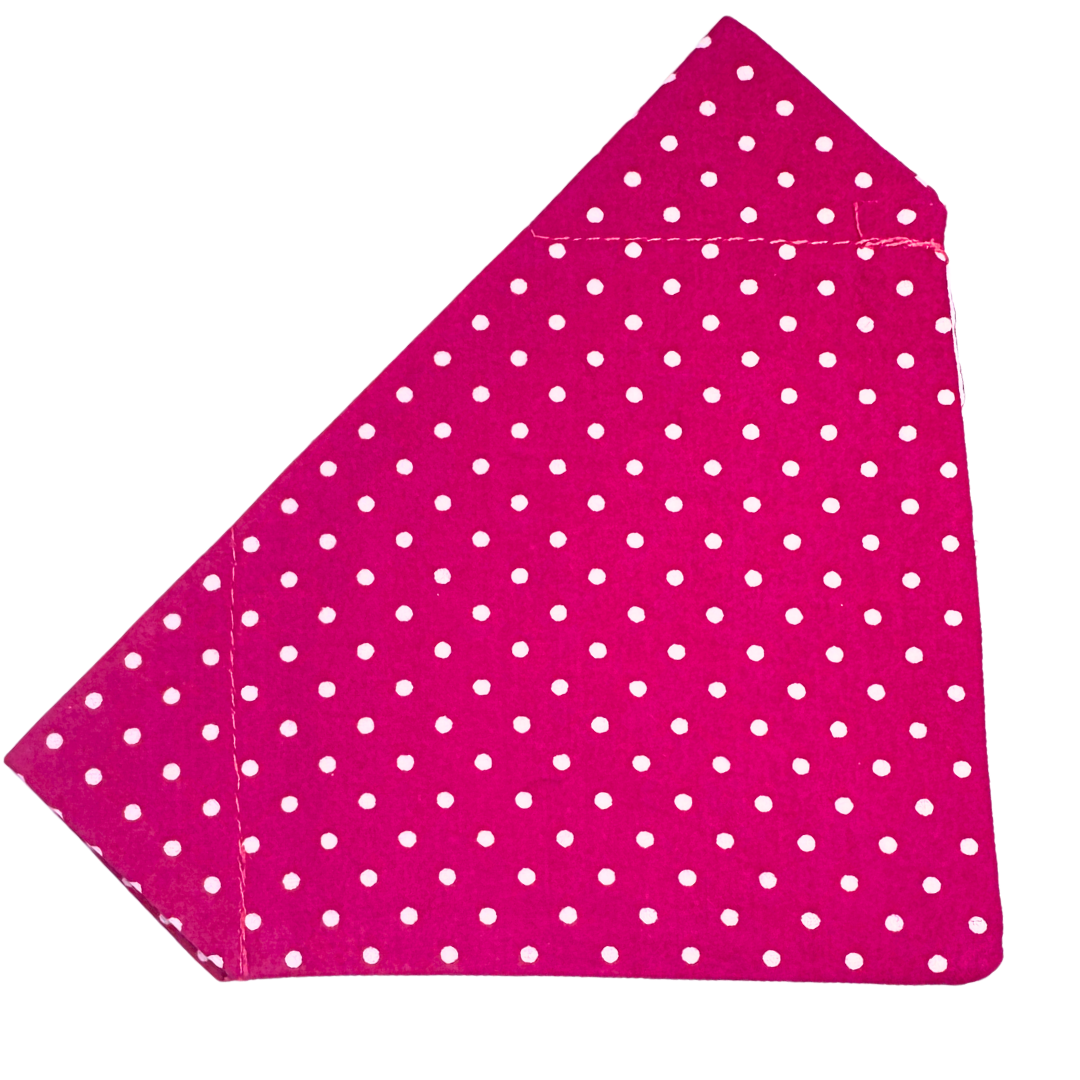Raspberry Spot
