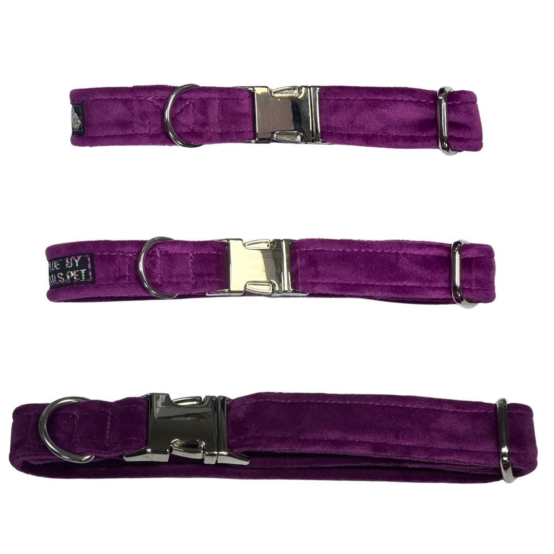 Amethyst Jewel Velvet Dog Collar