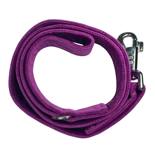 Top view of a purple velvet dog lead with metal clasp