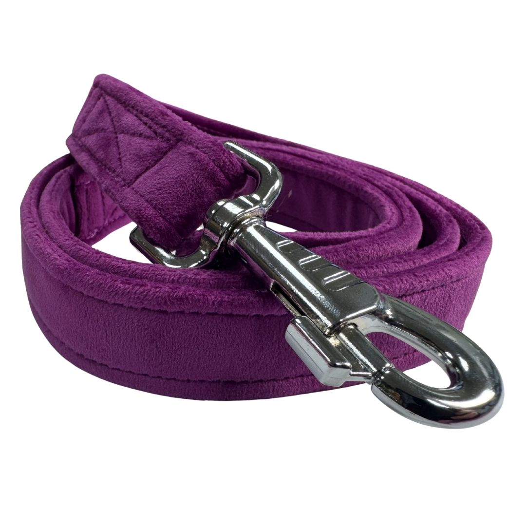 Side view of a purple dog lead with a silver metal clip