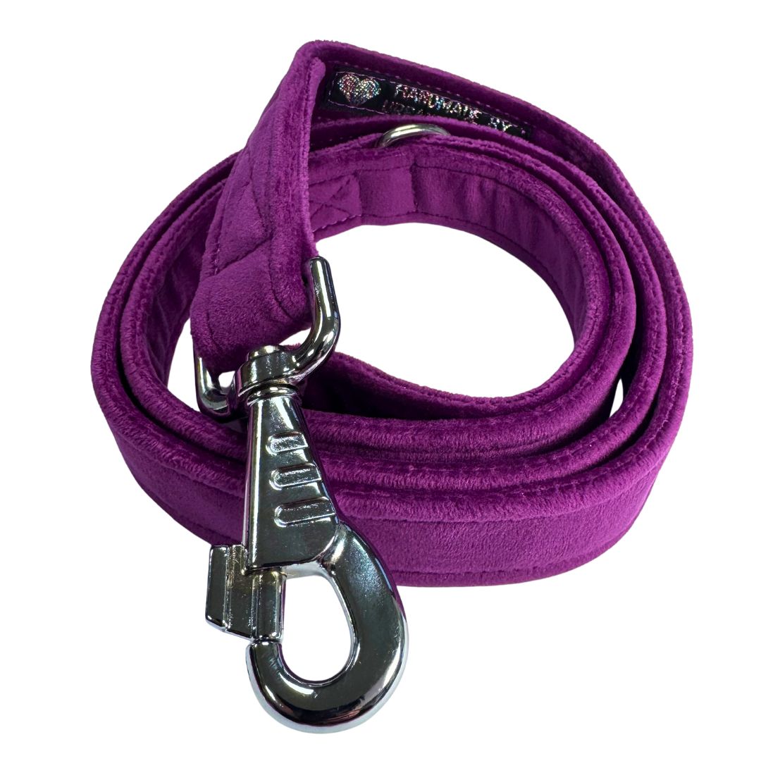 A purple velvet dog leash with a silver clasp