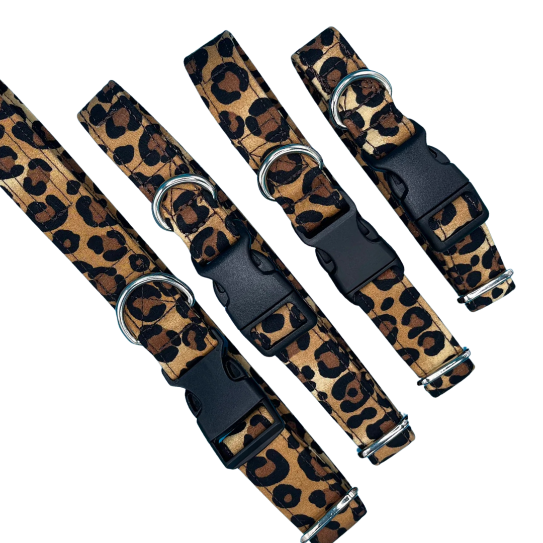 Animal Print Collar