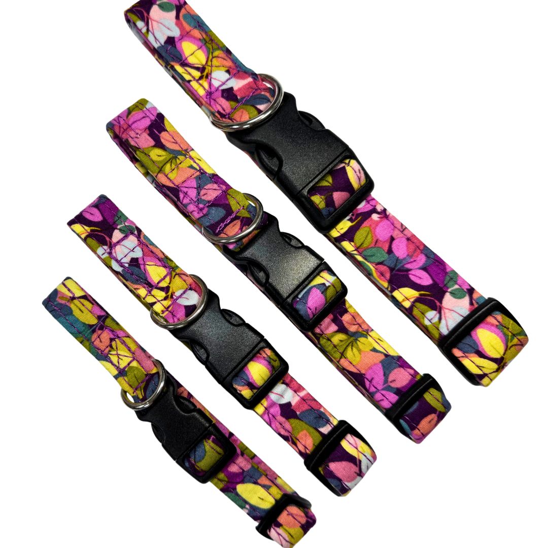 Set of colourful floral-patterned dog collars with black buckles