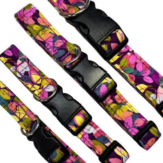 Close up of a colourful floral-patterned dog collars with black buckles