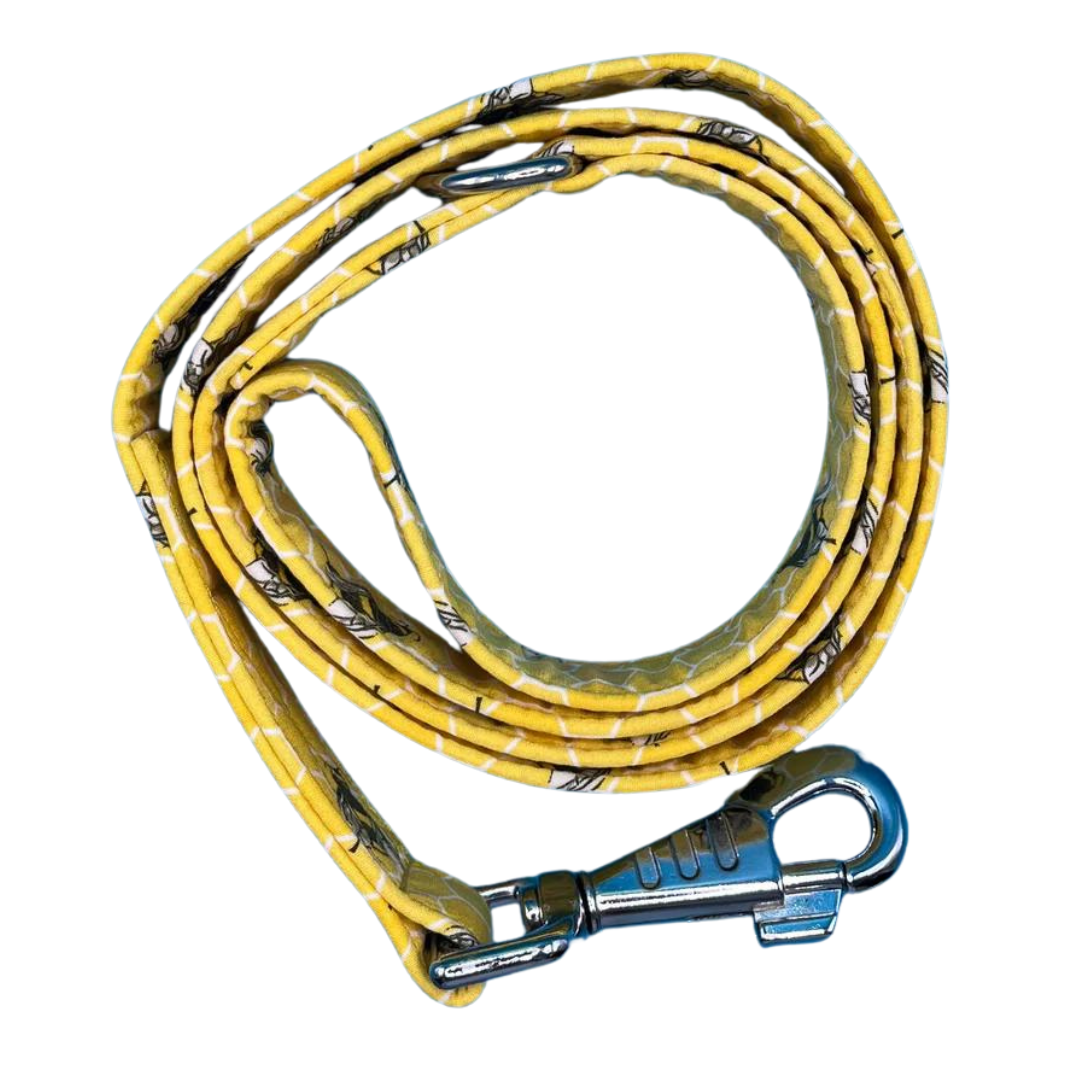 Bee Hive Dog Lead