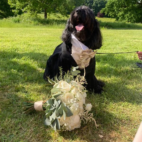 Dog wearing a wedding Tux sitting on grass with a bouquet of flowers