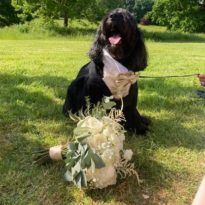 Dog wearing a wedding Tux sitting on grass with a bouquet of flowers