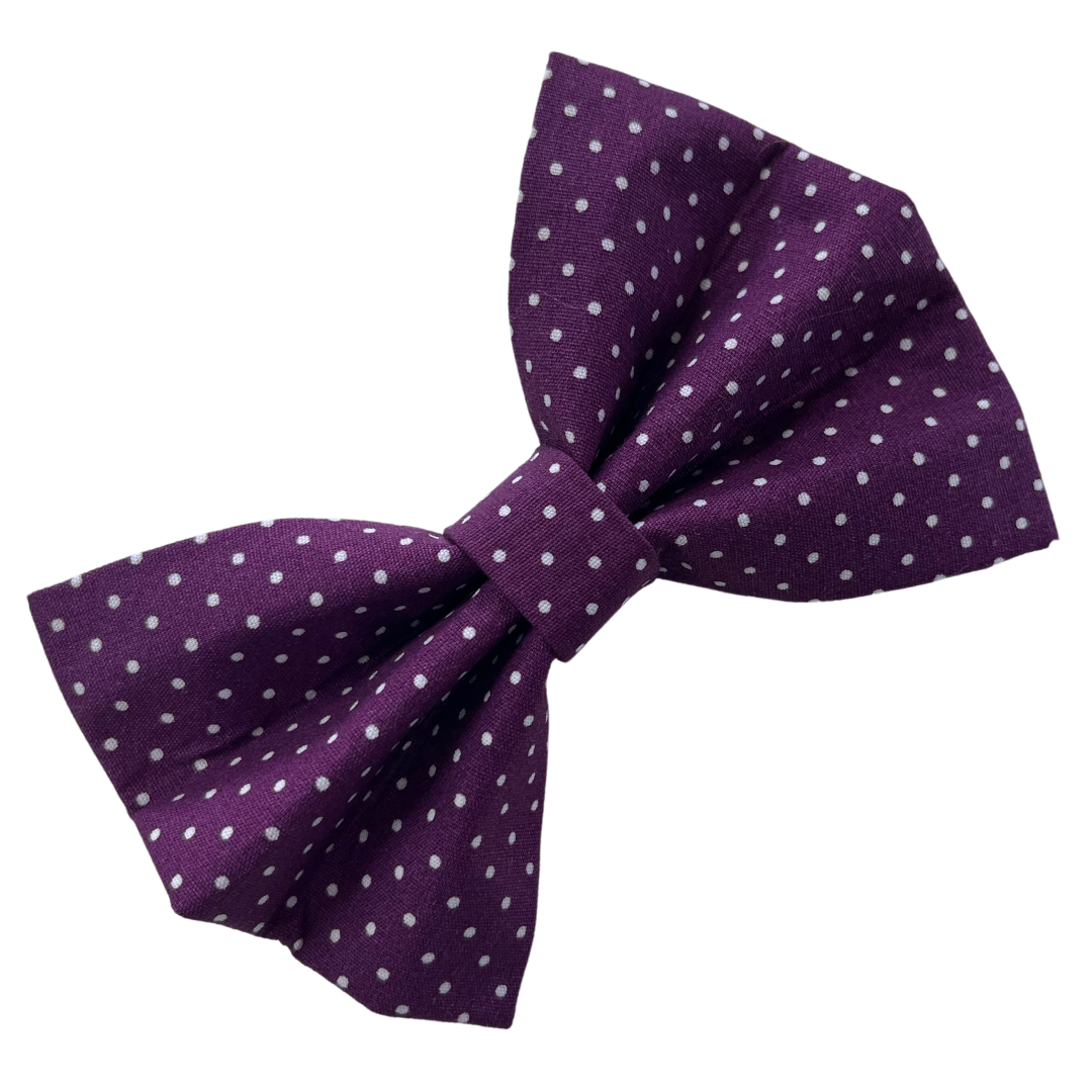 Blackberry Spot Dog Bow Tie