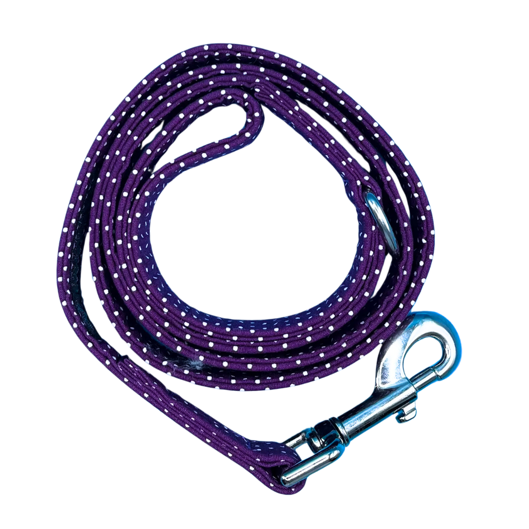 Blackberry Spot Dog Lead