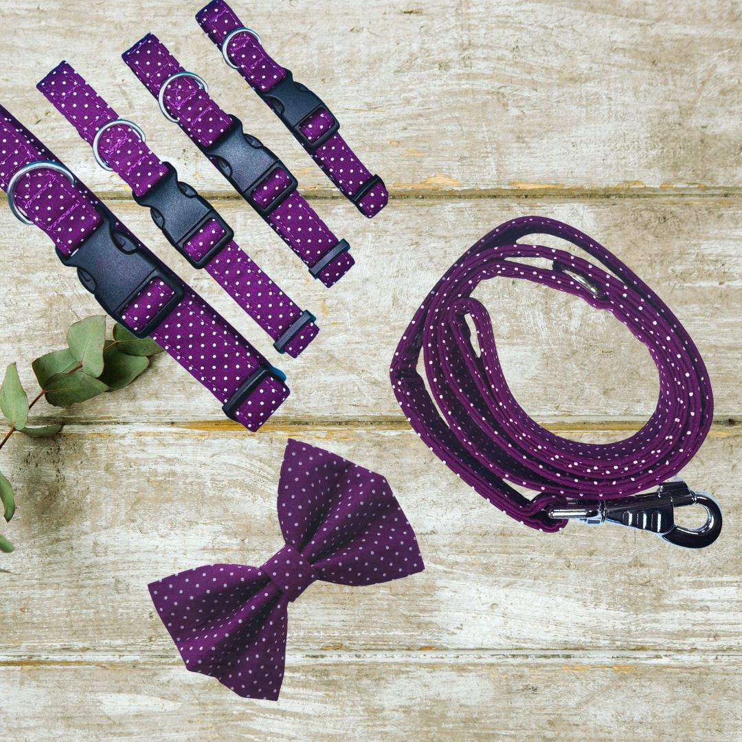Purple polka dot dog collar, leash, and bow tie set on a wooden surface.
