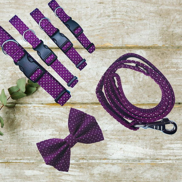 Purple polka dot dog collar, leash, and bow tie set on a wooden surface.