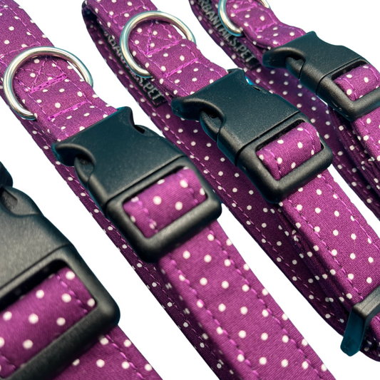 Blackberry Spot Collar