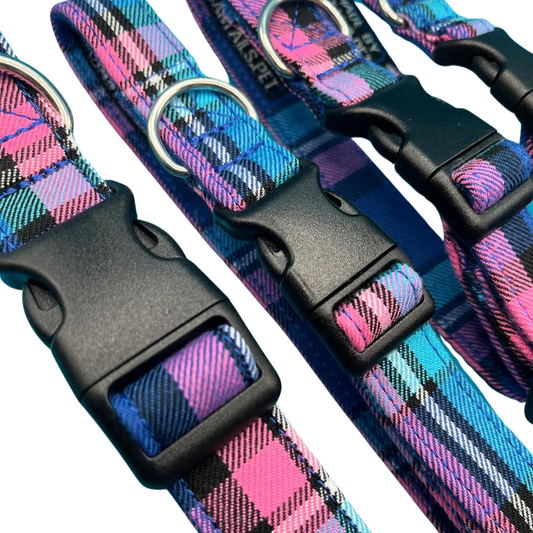 Cambridge Tartan Collar