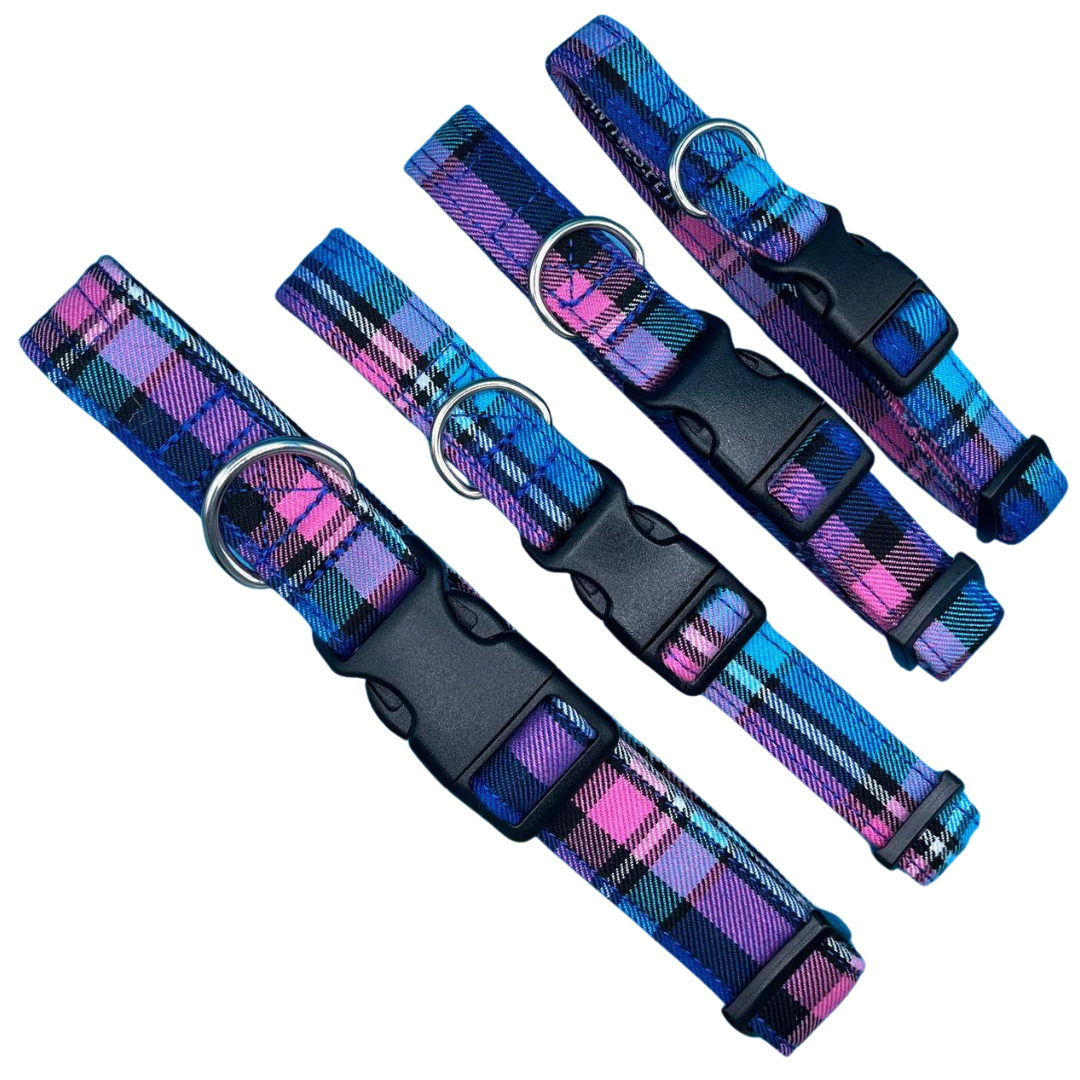 Cambridge Tartan Collar