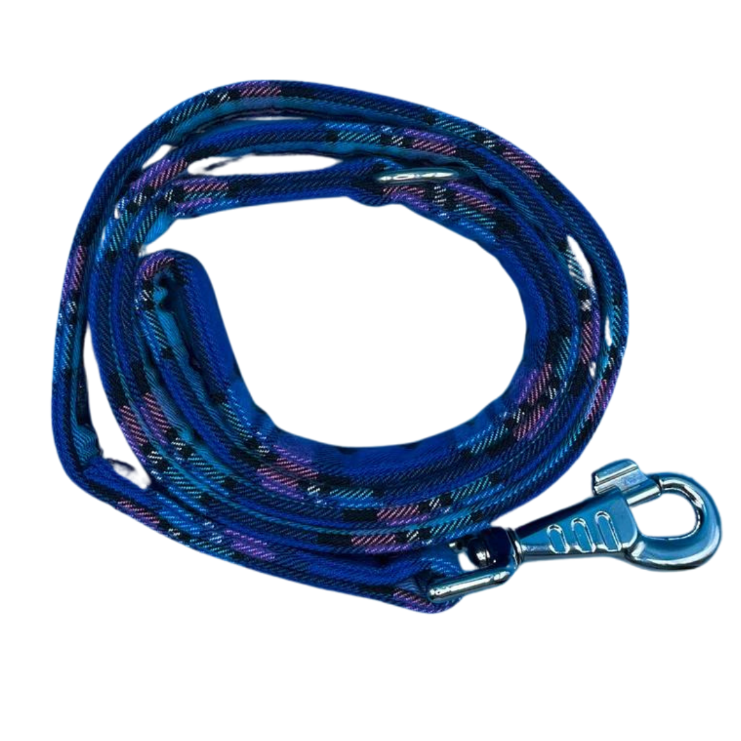 Cambridge Tartan Dog Lead