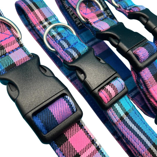Close up of four handmade adjustable dog collars with a blue and pink tartan pattern, featuring plastic buckles, and D rings,