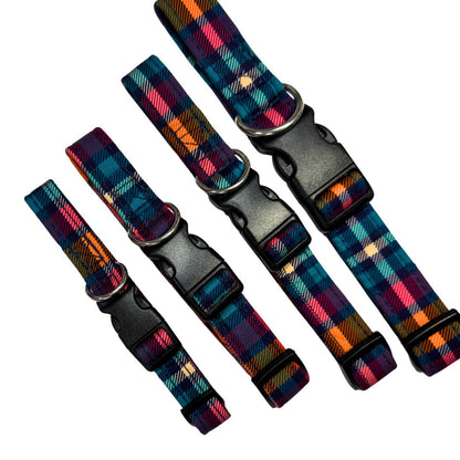 Set of colourful plaid dog collars with black buckles