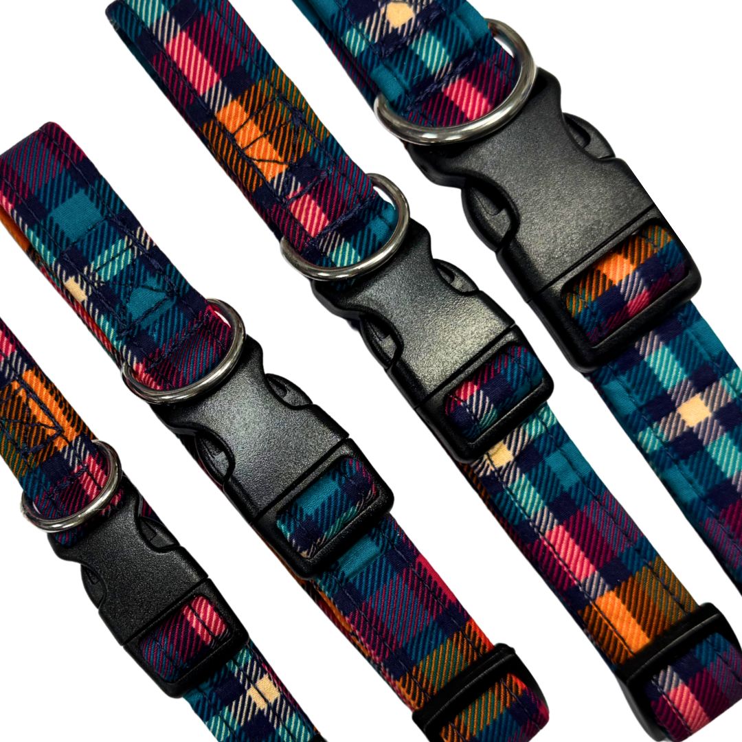 Close up of a set of colourful plaid dog collars with black hardware