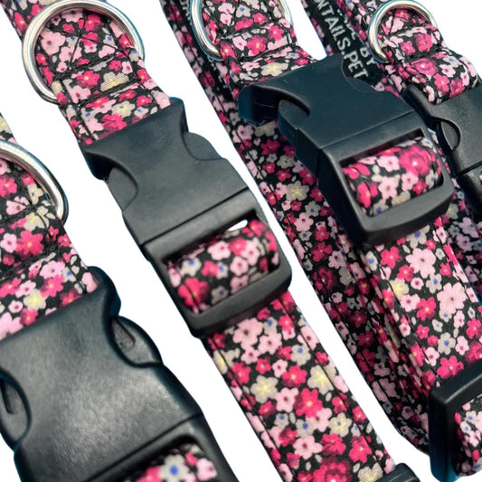 A collection of adjustable dog collars with a cherry blossom fabric print, featuring plastic buckles and metal D rings.