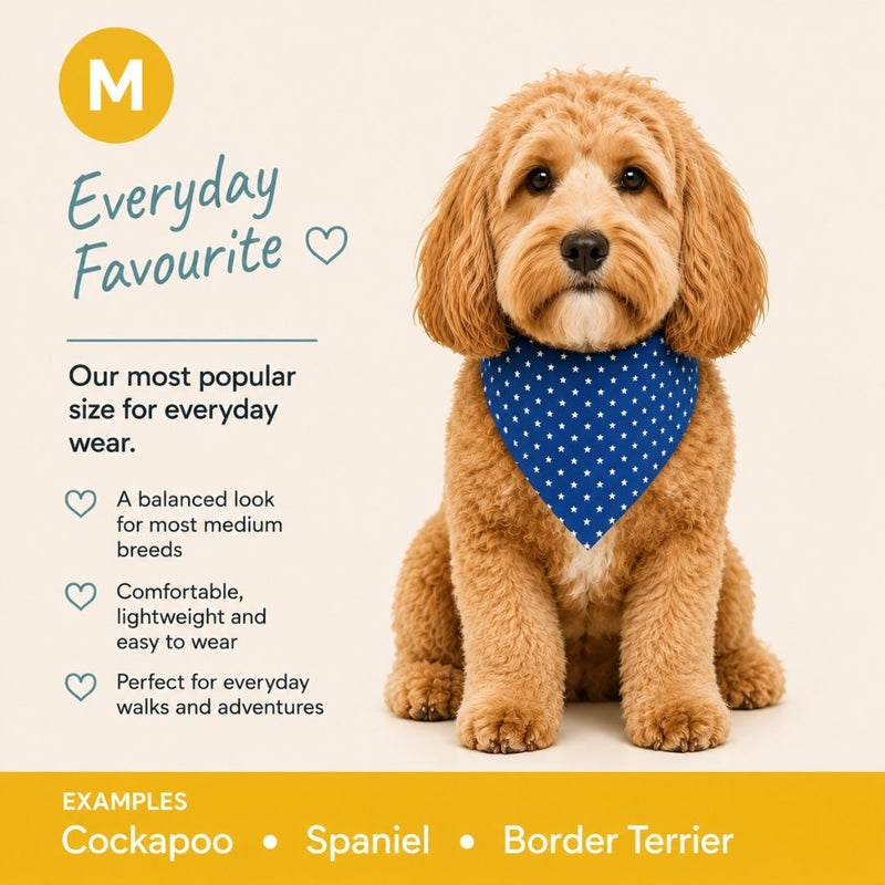 A fluffy light brown dog wearing a blue bandana with white polka dots, shown on a cream background with promotional text for pet bandanas. The text includes 'Everyday Favourite', size information, and examples for Cockapoo, Spaniel, and Border Terrier.
