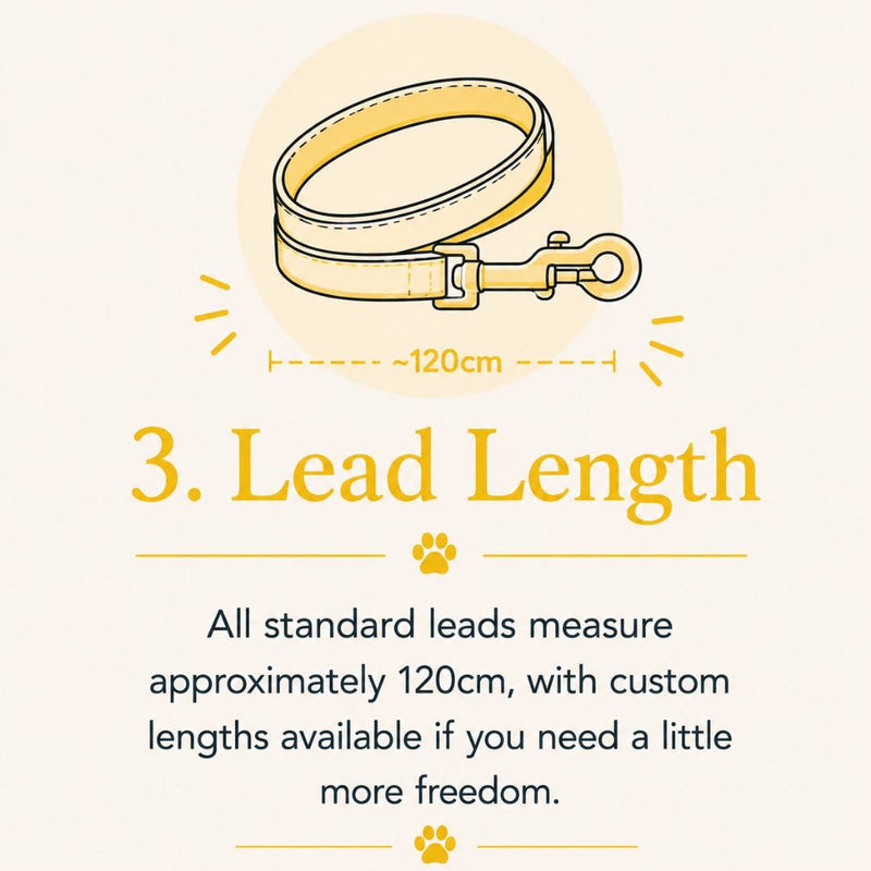 An informational graphic explaining lead length, showing a simple line drawing of a yellow dog leash with a 120cm measurement label above text stating that standard leads are approximately 120cm and custom lengths are available.
