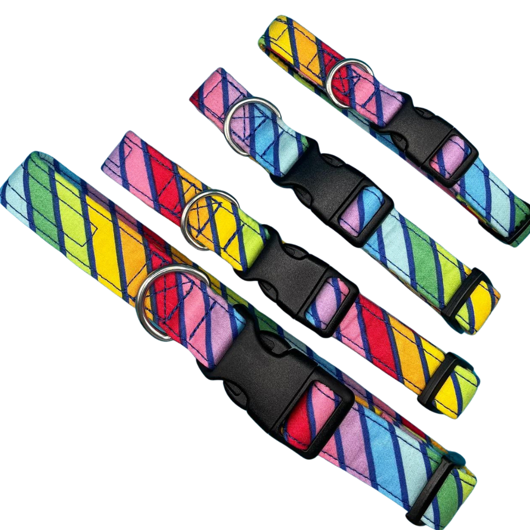 Circus Stripe Dog Collar