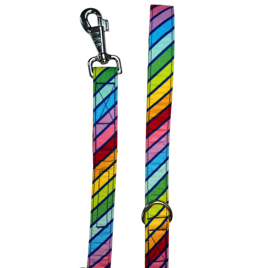 A multicoloured striped dog lead with a metal clasp and D-ring.