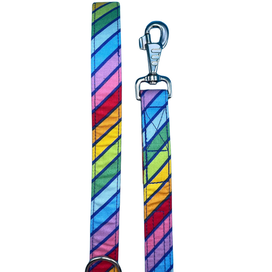 A multicoloured striped dog lead with a metal clasp and D-ring.