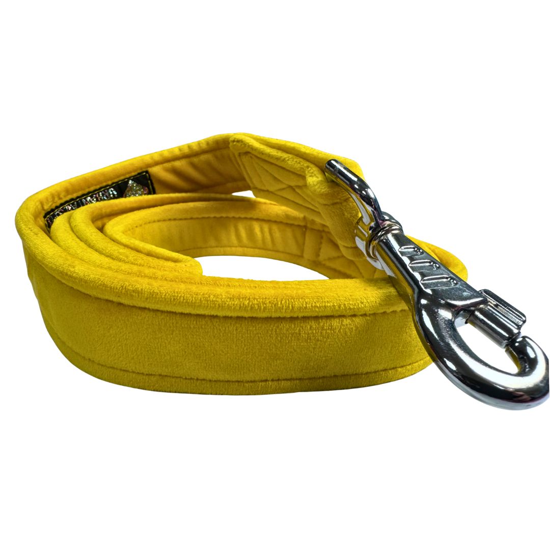 Yellow dog lead with a metal clip side view