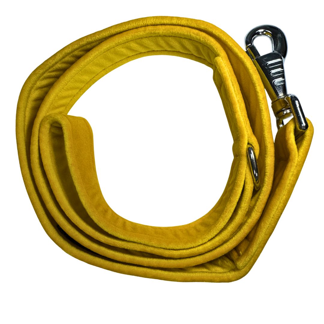 A top down view of a yellow velvet dog lead with metal clip