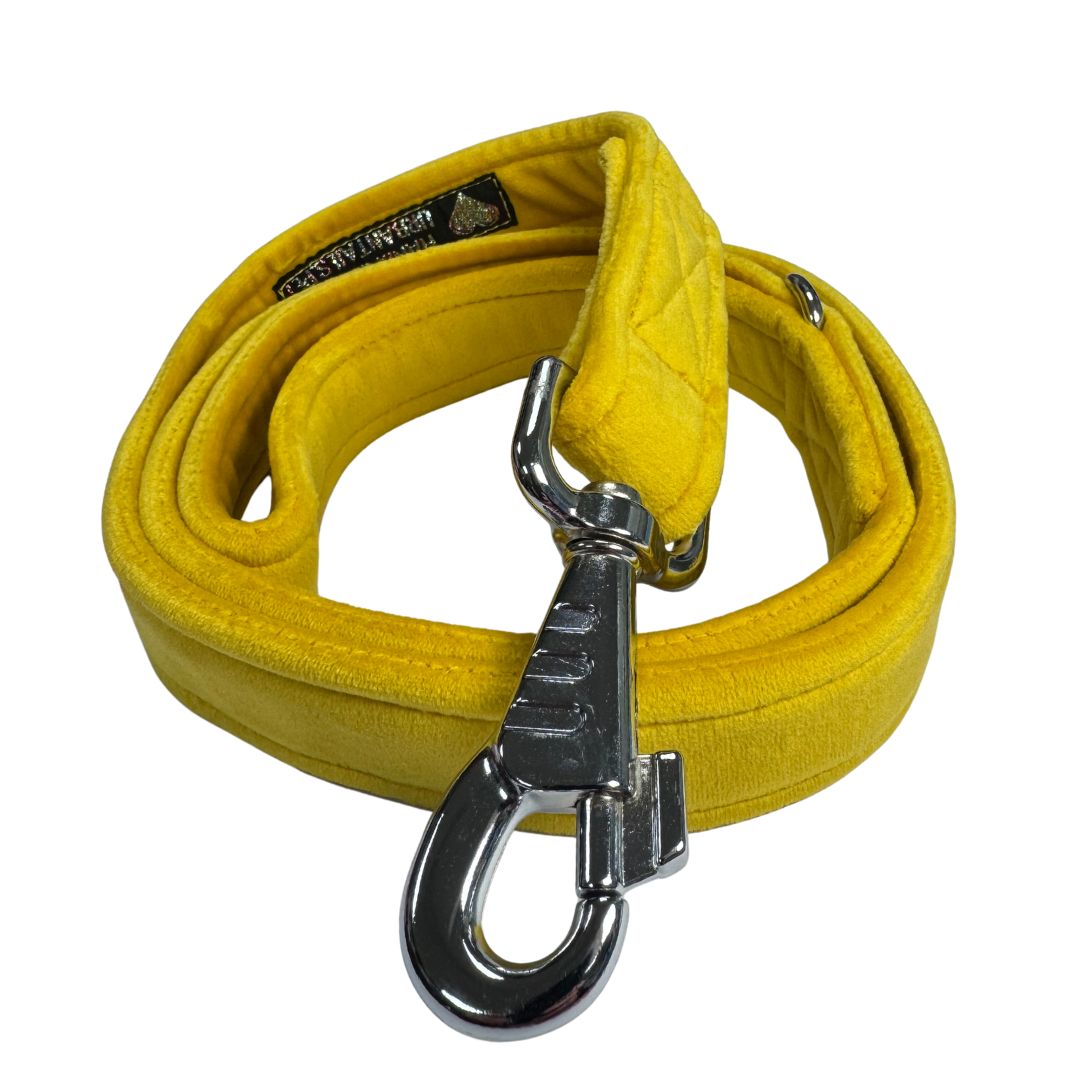 Yellow dog lead with a silver clasp