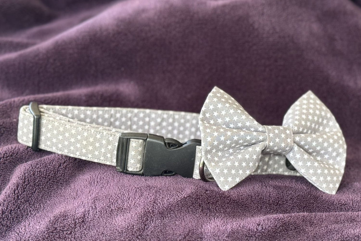 Dog collar with bow tie on a purple fabric background