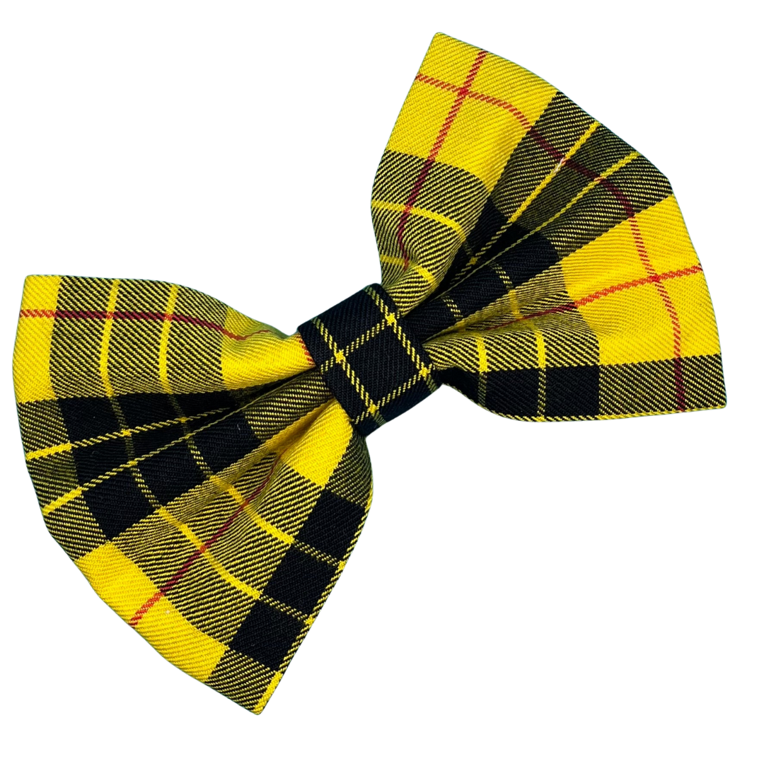 Clueless Dog Bow Tie