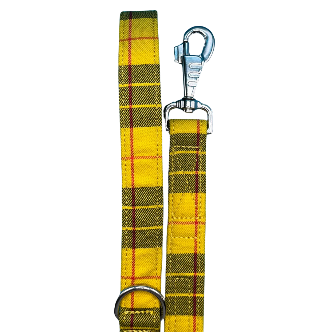 Clueless Tartan Dog Lead