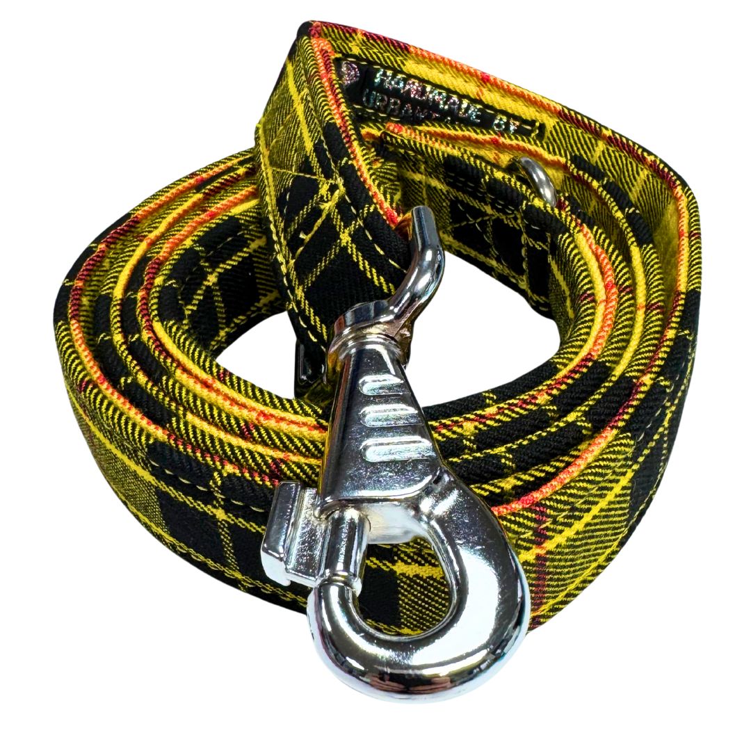 Top view of a yellow and black tartan dog lead with silver metal hardware and a large swivel clip.