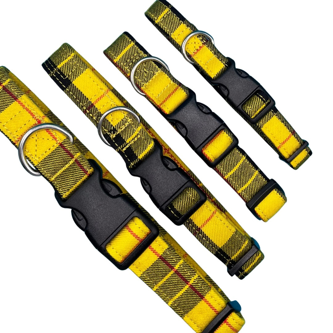 Adjustable and customisable yellow dog collar with a tartan pattern, silver metal D ring, and black plastic buckle.