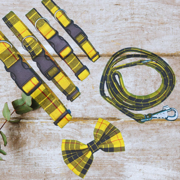 Dog collars, leash, and bow tie with yellow and black plaid pattern on a wooden surface.