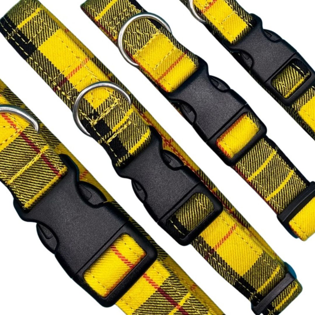 Adjustable and customisable yellow dog collar with a tartan pattern, silver metal D ring, and black plastic buckle.