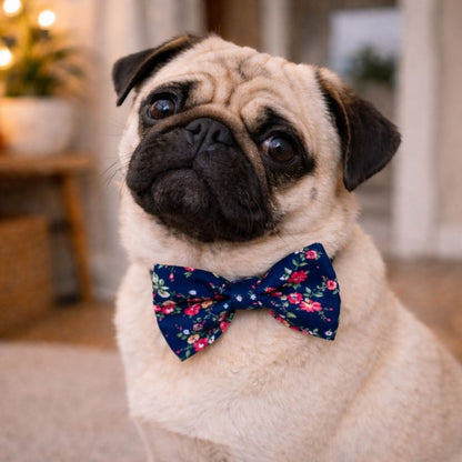 Pug wearing a bloom floral bow tie indoors